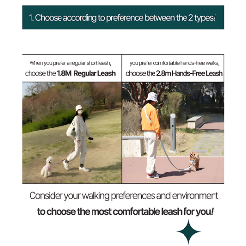 Cartoon Hands-free 2.8 Leash