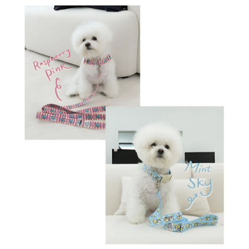 Cartoon Hands-free 2.8 Leash