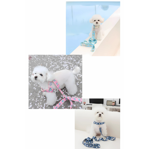 Cartoon Hands-free 2.8 Leash